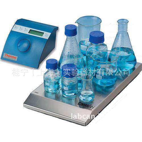 Term Thelsysetemo 60 磁Thermo力搅拌器