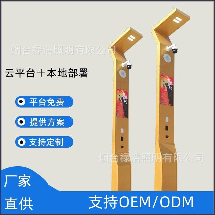 山东厂家直供4米5米智慧路灯监控显示屏路灯远程控制太阳能路灯