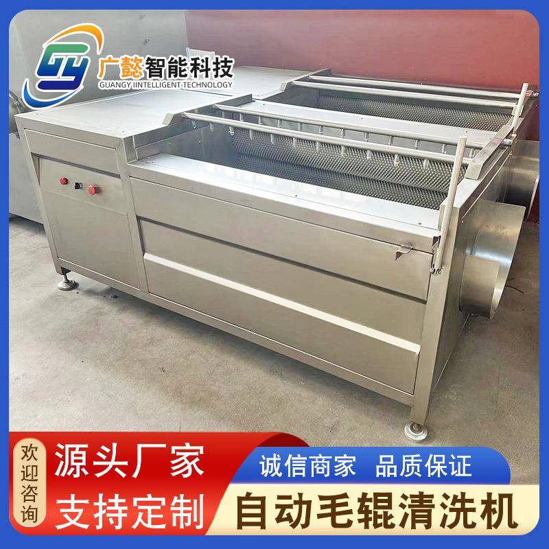 山芋毛刷清洗机U型毛辊去皮清洗机厂家供应桔梗去皮机设备