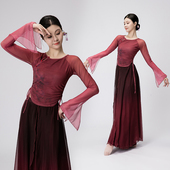 古典舞服装 女中国风飘逸身韵练功服汉服网纱上衣现代舞舞蹈演出服