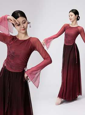 古典舞服装女中国风飘逸身韵练功服汉服网纱上衣现代舞舞蹈演出服