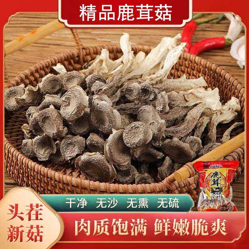 支持试吃高山鹿茸菇2026头茬干货鹿茸菌营养美味无熏硫炒肉煲汤