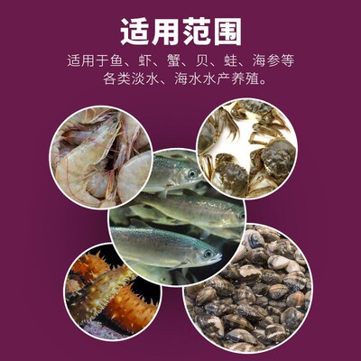 解毒碧水安水产养殖专用有机酸解毒抗应激降PH龙虾鱼塘水质稳定剂