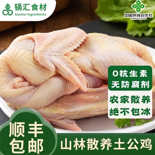 皖南农家散养公鸡新鲜整只现杀小公鸡走地鸡正宗土鸡山鸡鸡肉生鲜