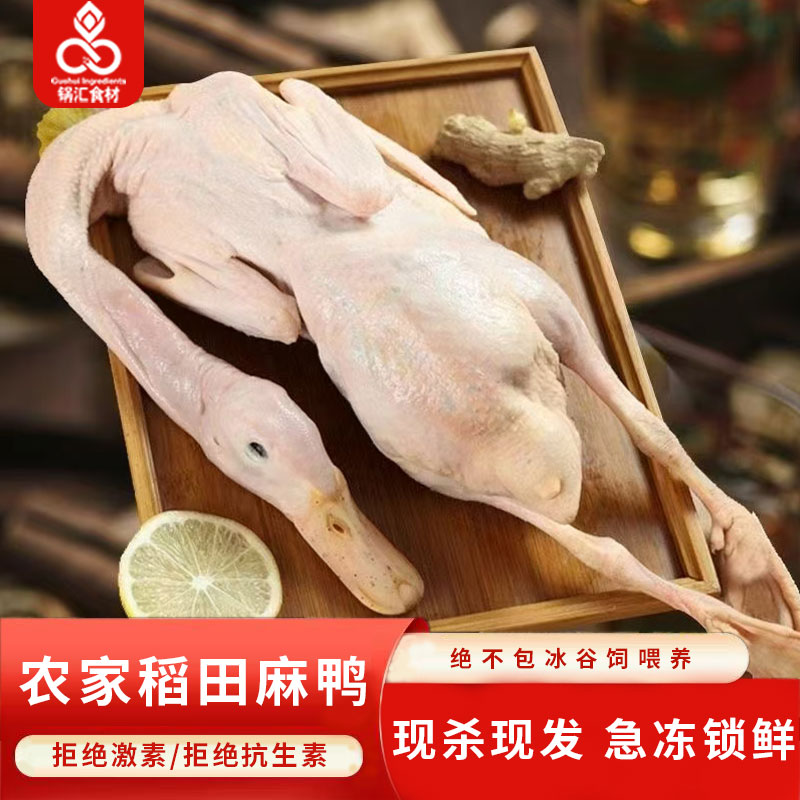 锅汇食材农家散养正宗新鲜麻鸭子