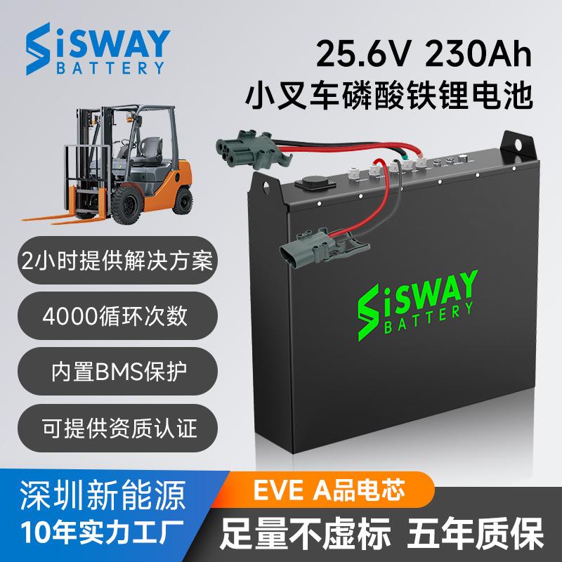 外贸出口电动叉车磷酸铁锂电池搬运车48伏锂电池组装PACK24V200Ah