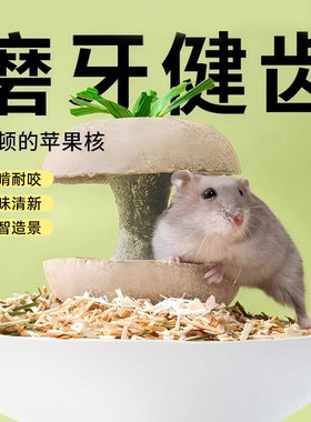 仓鼠磨牙棒苹果核零食金丝熊营养解闷自嗨小玩具造景蜜袋鼯用品