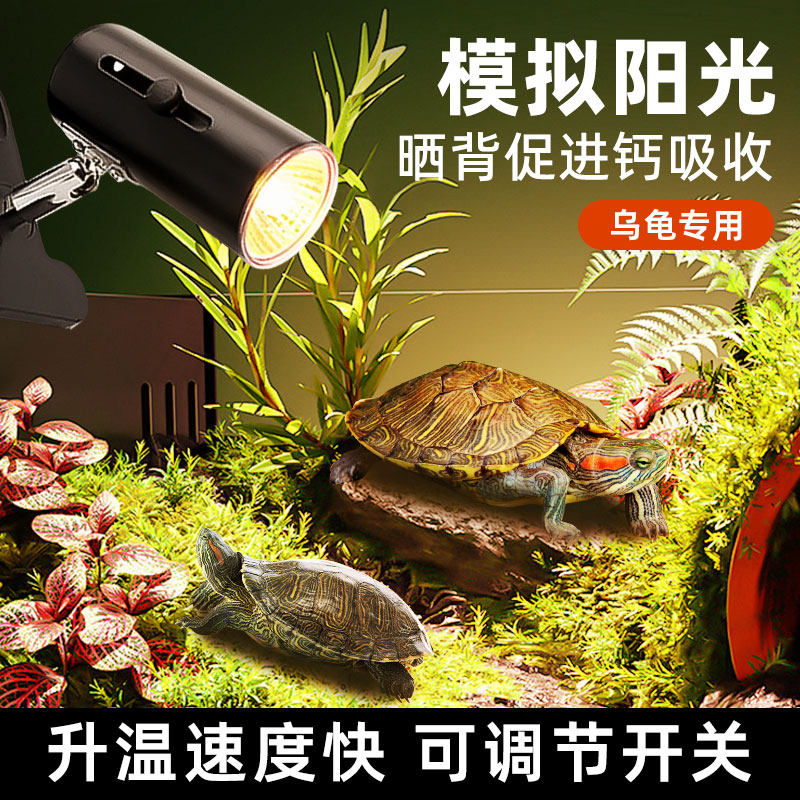 乌龟爬宠晒背灯uva取暖uvb加热保温太阳灯龟灯泡宠物乌龟恒温灯架,宠物/宠物食品及用品,照明器材,淘宝优惠券,粉丝福利购,淘宝优惠卷