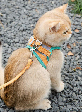 猫咪牵引绳外出专用可调节遛猫绳幼猫小型犬防挣脱胸背带宠物用品