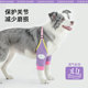 狗狗护肘加厚袖 套前腿关节保护骨骼护腕套中大型犬护膝腿套防磨套