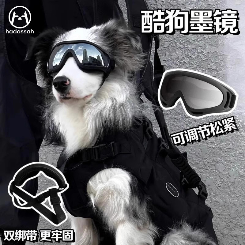 陨石边牧狗狗护目镜防风防刮头饰墨镜中大型太阳镜宠物可调节眼镜,宠物/宠物食品及用品,宠物眼镜/护目镜,淘宝优惠券,粉丝福利购,淘宝优惠卷