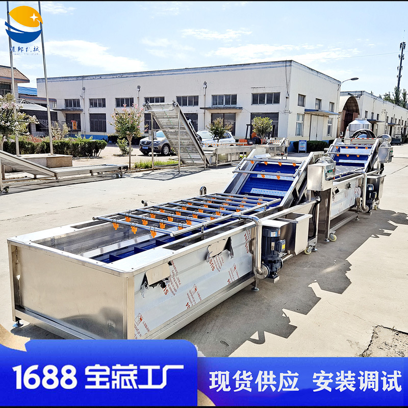 大型连续木耳清洗机 全自动高压水冲气泡蘑菇清洗设备 松茸清洗线