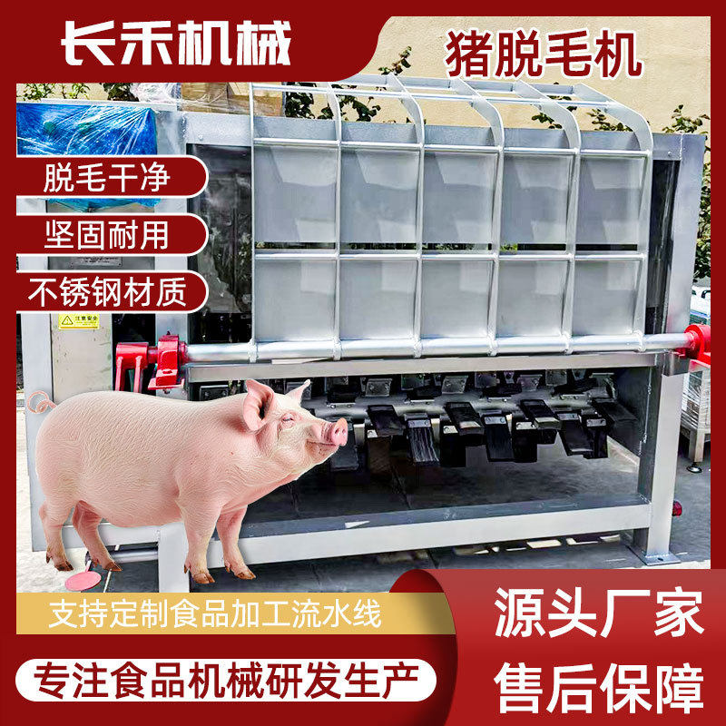 液压猪打毛机流水线连续式生猪刨毛机家畜屠宰场流水线脱毛机