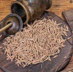 生浙麦冬慈溪4年种植自然晒干道地高品质经方经典优质正产地新鲜