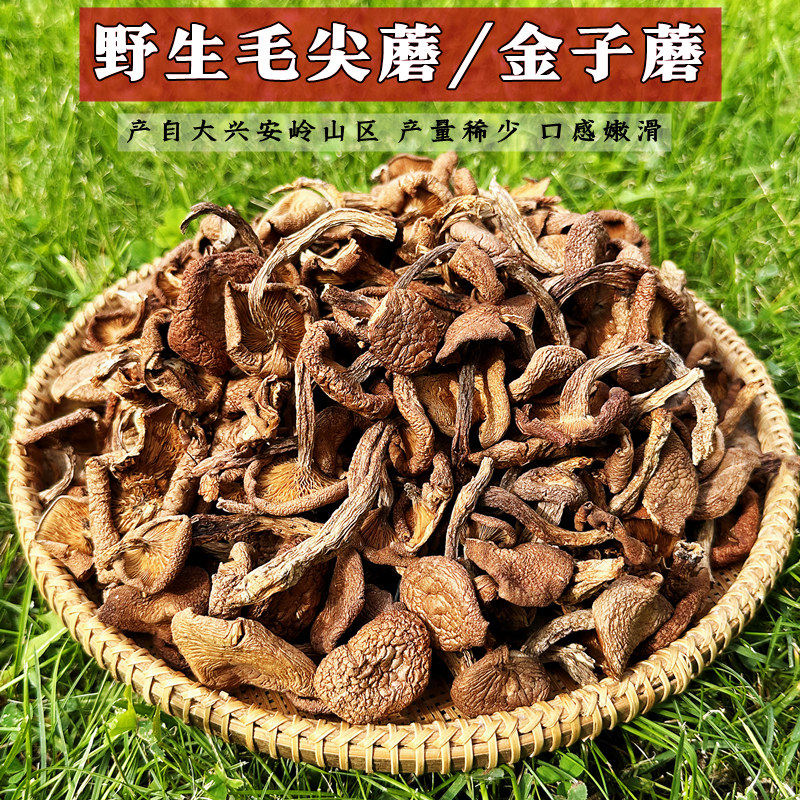 东北野生红毛尖蘑菇黄金蘑金子蘑菇干食用菌香菇煲汤食材干货特产