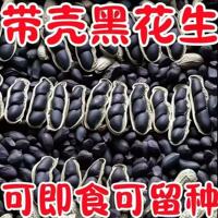 买一送一】云南正宗富硒生黑花生带壳生黑花生黑子花生丽人膳补