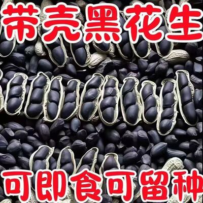 买一送一】云南正宗富硒生黑花生带壳生黑花生黑子花生丽人膳补