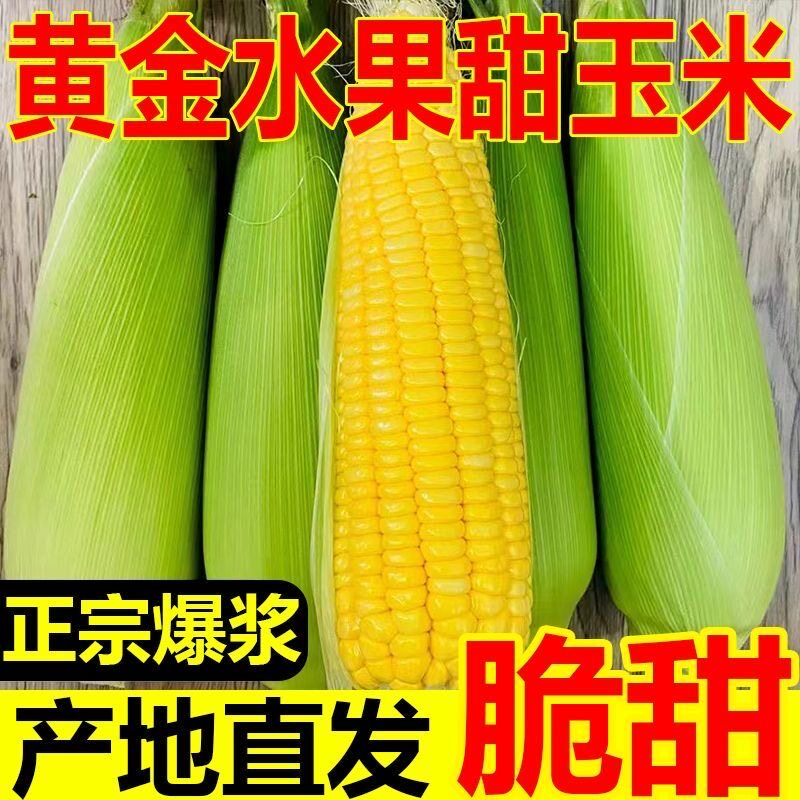【带箱9斤】新鲜现摘玉米甜脆可生吃 带皮黄金爆浆苞谷水果玉米