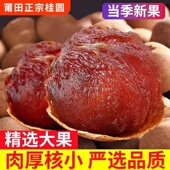 桂圆干新货桂圆干福建特产龙眼干泡水喝干货桂圆肉非无核新果