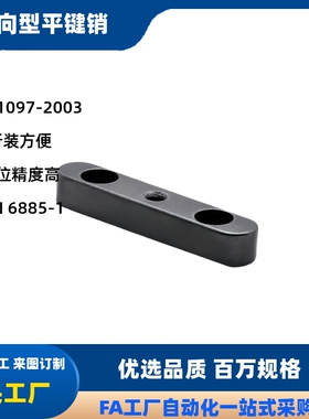 GB/T1097导向键KESW双沉头中心螺纹孔导向型平键M8M10M12M14M1618