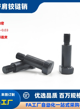 g6负公差MIE01带肩铰链销CLBGN/CLBDG5 6 8 1012滚子随动器链接销