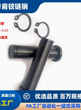 带肩铰链销MIT01 MIT02 MIT03 MIT04 MIT05 MIT11 MIT16-D5 D6 D8