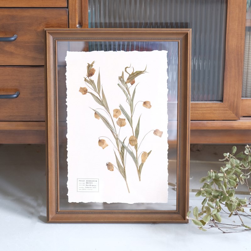简约花卉植物标本装饰画照片墙相框挂画组合墙书房儿童房样板间图片