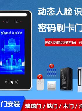 动态防水人脸识别门禁机电磁锁玻璃门铁门木门门禁系统一体机套装