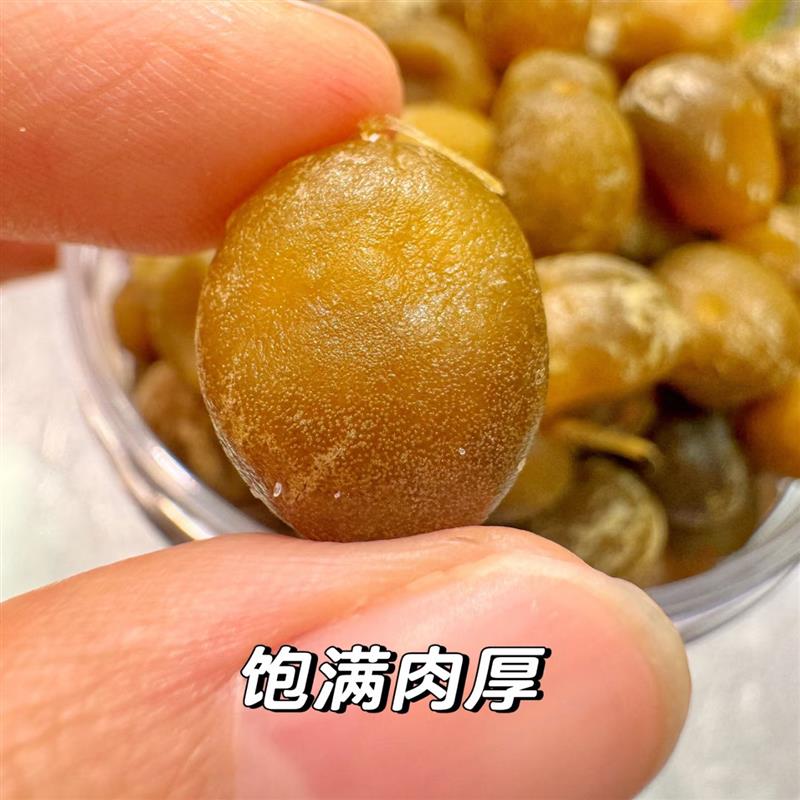正宗陈皮小春砂阳春阳江特