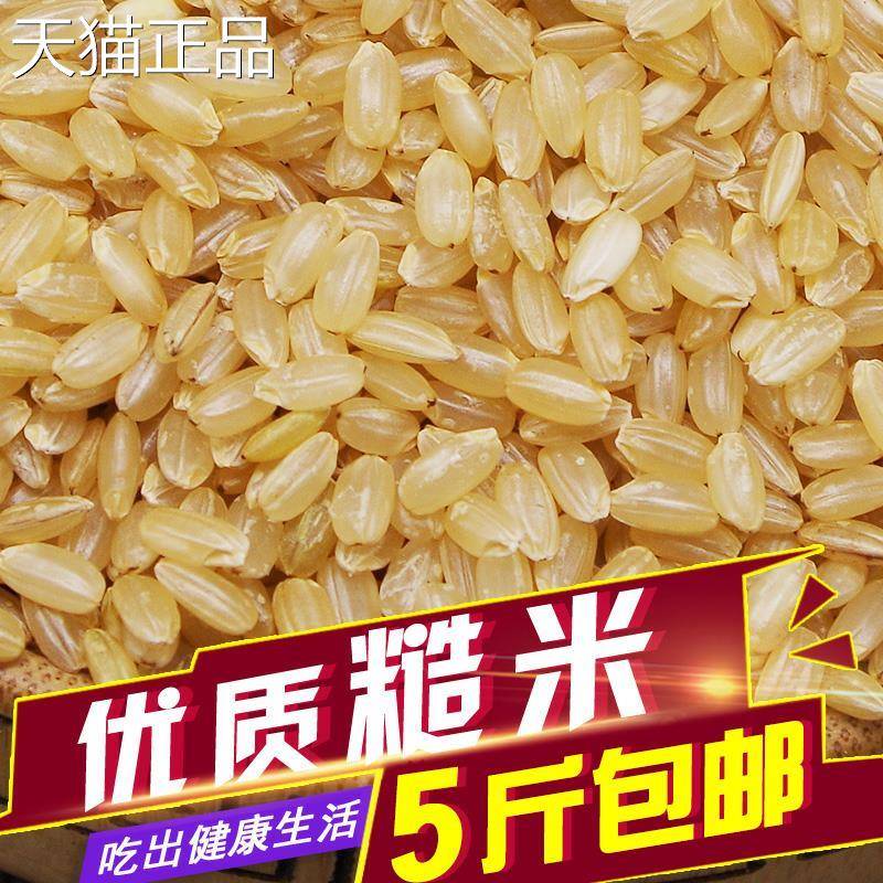 新货优质东北 糙米 胚芽糙米会发芽的糙米500克