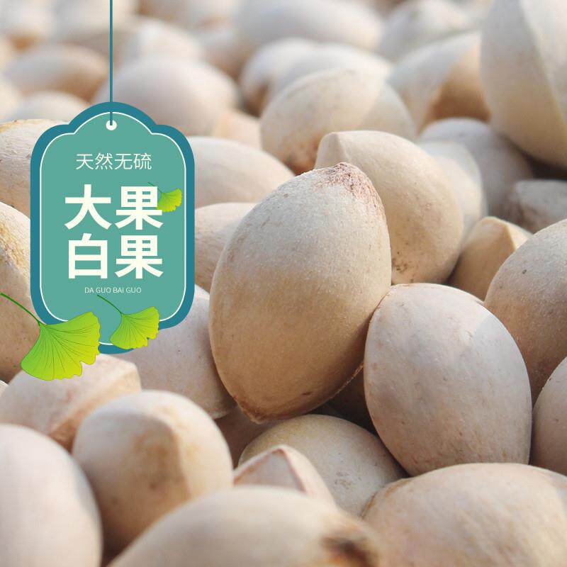 正宗新鲜大白果子银杏果生