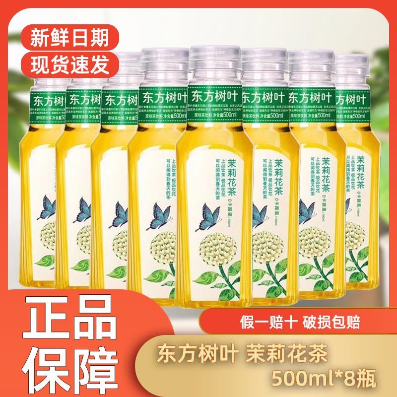 新货清仓特价东方树叶茉莉