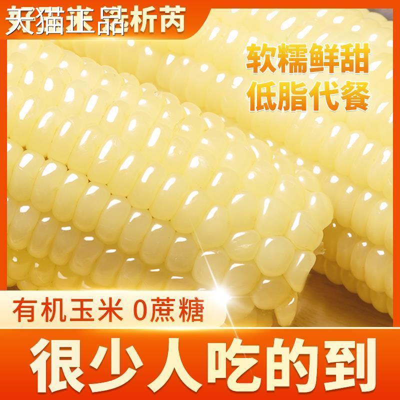 析芮东北玉米糯玉米棒新鲜真空装包加热即食香甜粘黏糯白苞米