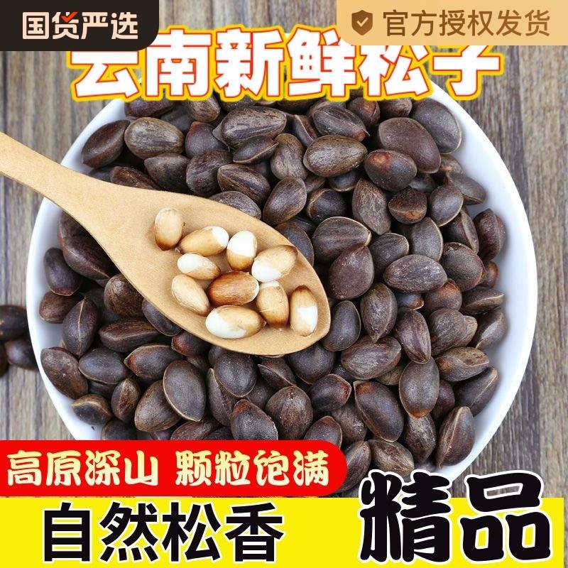 大颗粒4斤云南新鲜生松子2
