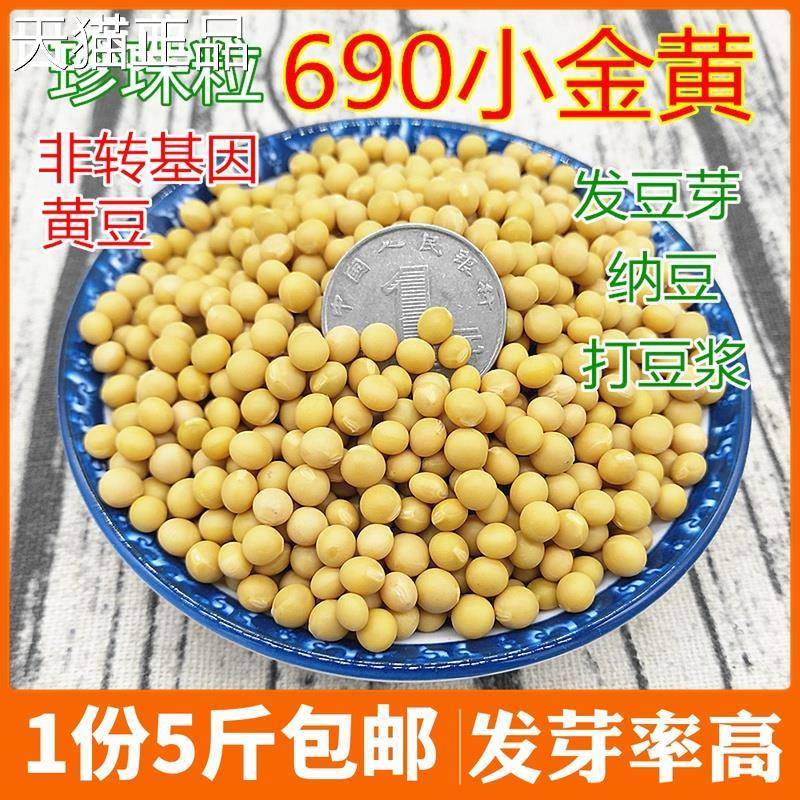 小金黄5斤农家纯正小金黄690小黄豆新豆发豆芽打豆浆纳豆250g包邮