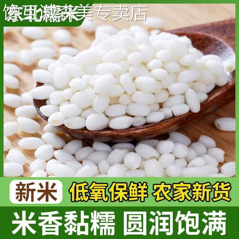 东北白糯米农家新米自产江米粽子杂粮五谷杂粮手工汤圆现货优质