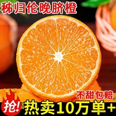 正宗秭归晚伦橙夏橙38号果冻橙子新鲜水果当季手剥橙蜜桔整箱甜橙图片