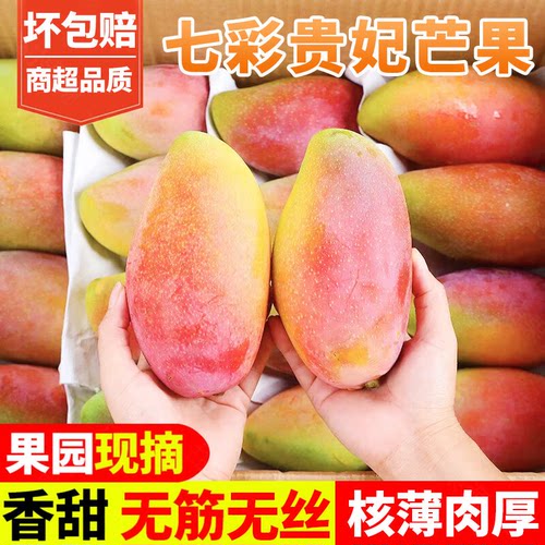 海南贵妃芒新鲜现摘当季热带水果七彩甜心芒皮薄核小鲜甜整箱芒果
