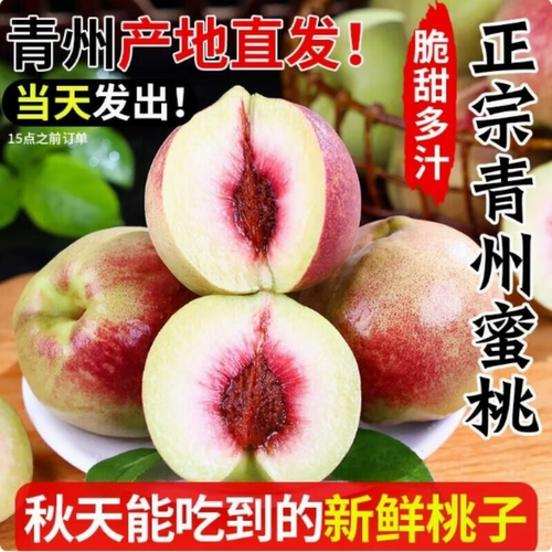青州蜜桃青皮桃子新鲜脆桃脱骨离核毛桃丑桃当季现摘5斤蜜桃大果