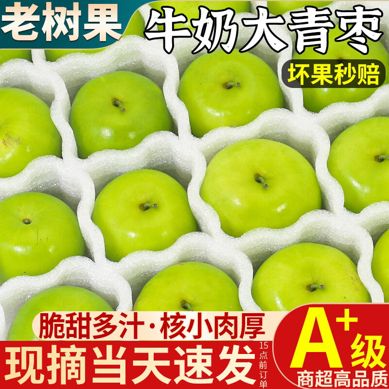 正宗福建贵妃牛奶大青枣当季新鲜脆甜青枣水果蜜甜牛奶大枣冬季枣