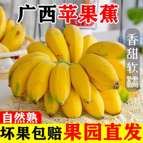正宗新款上市广西蕉新鲜水果当季香蕉平果粉蕉芭蕉自然熟整箱香蕉