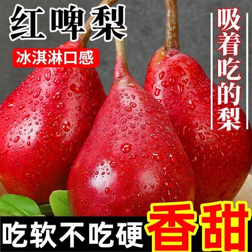 正宗陕西红啤梨当季新鲜红皮软梨水果梨子红皮彩虹香梨太婆啤酒梨