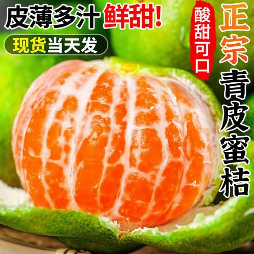 云南蜜橘新鲜青皮橘子孕妇水果当季现摘青皮蜜桔无籽桔子早熟橘子