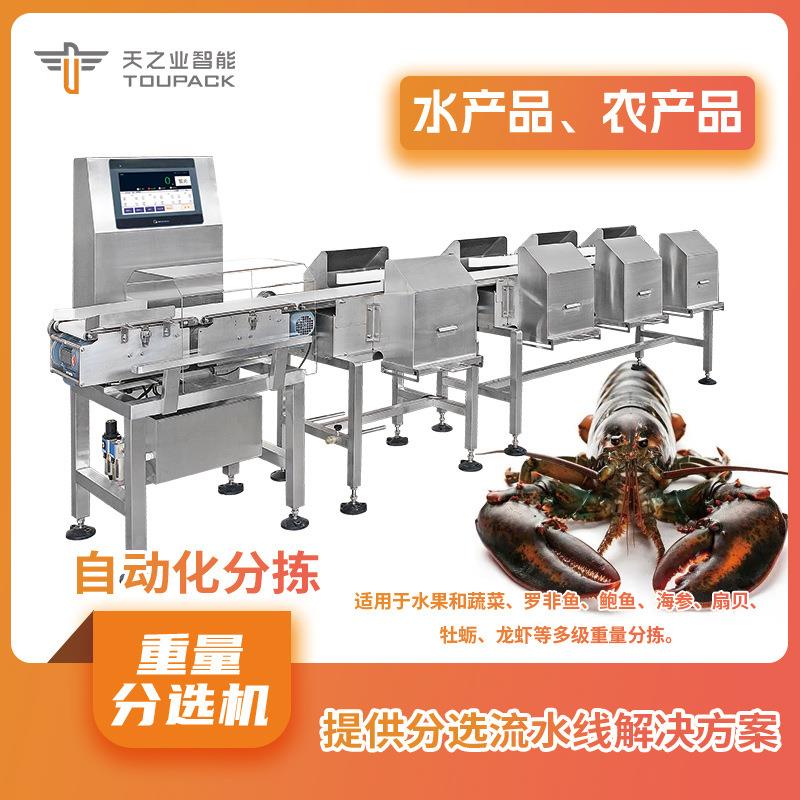 全自动重量分选秤鱼肉称重分拣设备海鲜水产重量检测分选机
