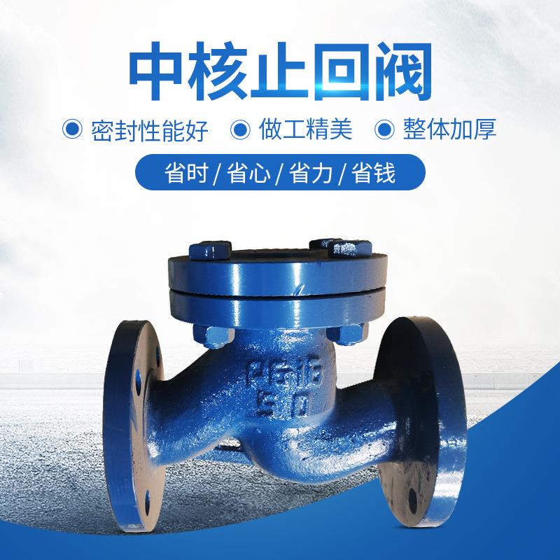 304不锈钢升降式止回阀H41W-16P水平卧式法兰单向止逆阀门DN5065