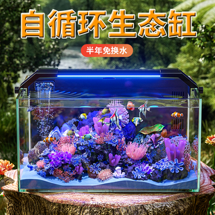 金晶超白玻璃鱼缸过滤制氧All2025新款背滤客厅桌面金鱼饲养缸