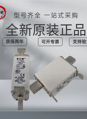 170M1318 170M1369 170M1422 170M1415 巴斯曼熔断器
