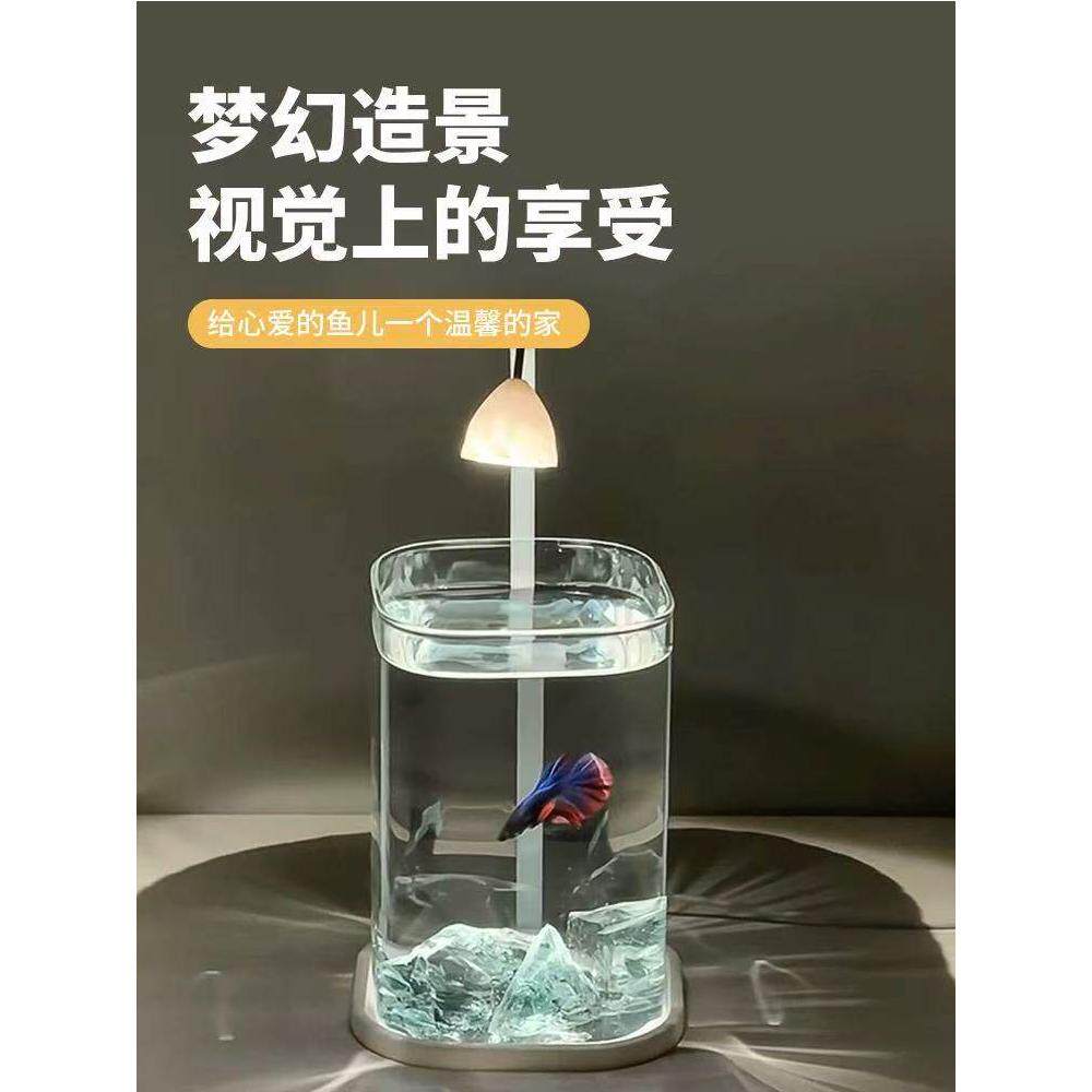 斗鱼缸新款2025客厅小型生态造景玻璃缸办公室桌面装饰工位小鱼缸