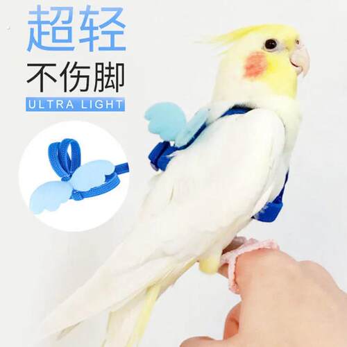 小太阳牵引绳鹦鹉外出放飞绳户外遛鸟绳神器玄凤轻不伤脚背带小鸟