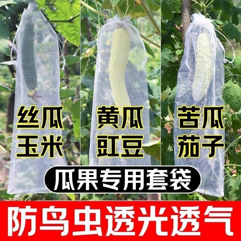 丝瓜黄瓜苦瓜套袋纱袋防虫专用网袋水果葡萄番茄枇杷瓜果保护袋子